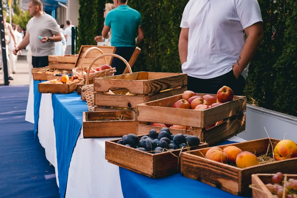 Serving Communities Across Forest Ranch, CA in Forest Ranch